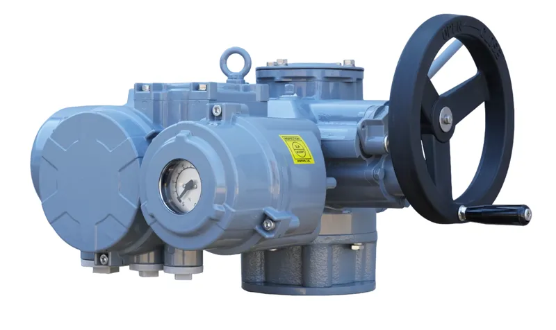 TM Series Electric Actuator (MOV)